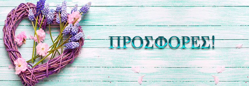 Προσφορές